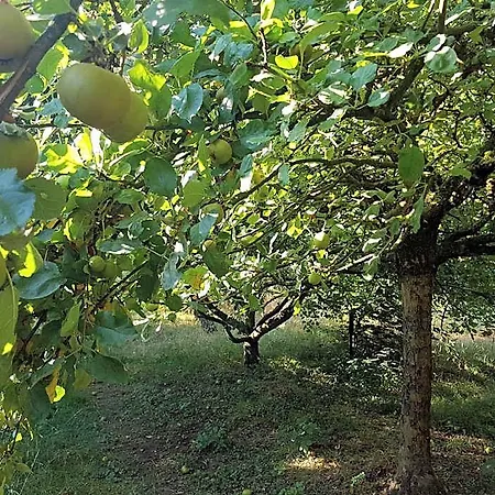 Chateau Lambert Moulinsart Hotel, Shuttle Airport, Long Term Parking, Snooker, Large Terrasse, Dinner, Breakfast Ξενοδοχείο Σαρλρουά