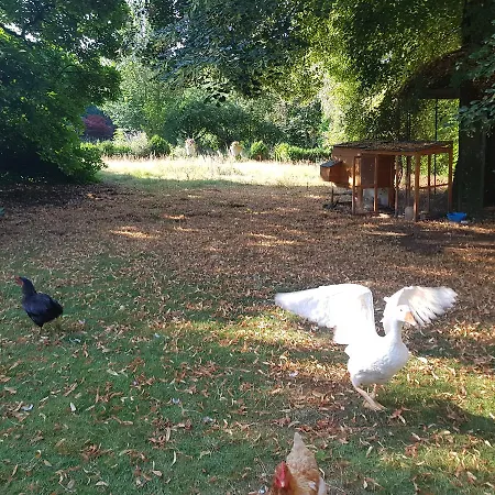 Chateau Lambert Moulinsart Hotel, Shuttle Airport, Long Term Parking, Snooker, Large Terrasse, Dinner, Breakfast Hotel Charleroi