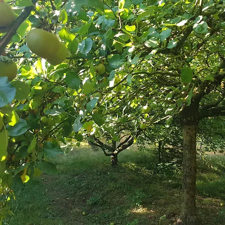 Chateau Lambert Moulinsart Hotel, Shuttle Airport, Long Term Parking, Snooker, Large Terrasse, Dinner, Breakfast Hotel