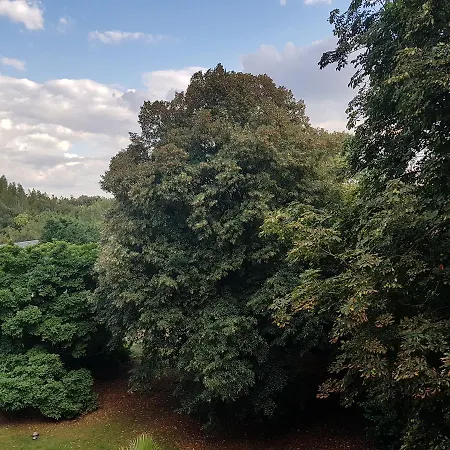 Hotel Chateau Lambert Moulinsart Hotel, Shuttle Airport, Long Term Parking, Snooker, Large Terrasse, Dinner, Breakfast Charleroi