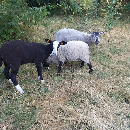 Chateau Lambert Moulinsart Hotel, Shuttle Airport, Long Term Parking, Snooker, Large Terrasse, Dinner, Breakfast Charleroi