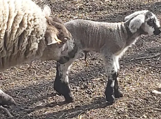 Château Lambert Hotel-resto-parking-shuttle, A 1 Ha Oasis At 8 Min From Crl Airport Without Any Noise Hotel