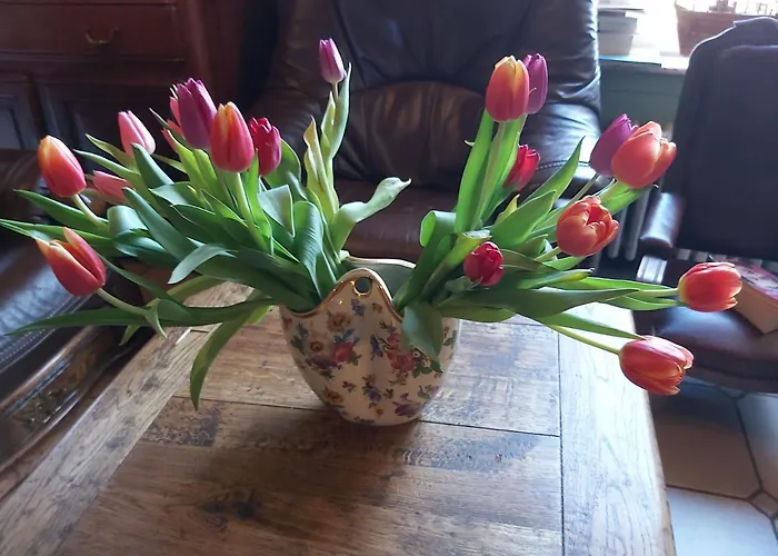 Hotel Château Lambert Hotel-resto-parking-shuttle, A 1 Ha Oasis At 8 Min From Crl Airport Without Any Noise Charleroi