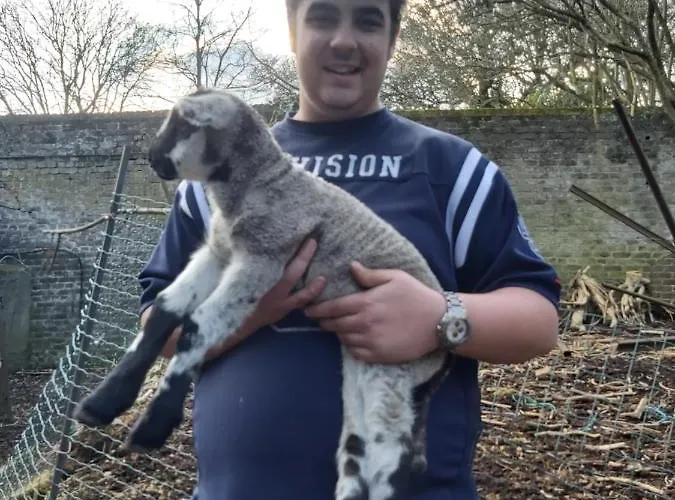 Hotel Château Lambert Hotel-resto-parking-shuttle, A 1 Ha Oasis At 8 Min From Crl Airport Without Any Noise