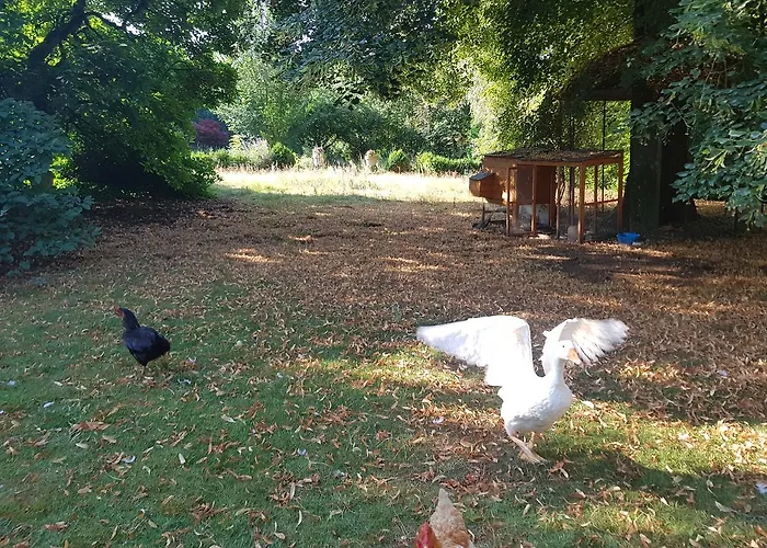 Château Lambert Hotel-resto-parking-shuttle, A 1 Ha Oasis At 8 Min From Crl Airport Without Any Noise Hotel Charleroi