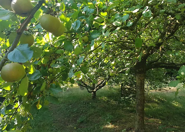 Château Lambert Hotel-resto-parking-shuttle, A 1 Ha Oasis At 8 Min From Crl Airport Without Any Noise Hotel