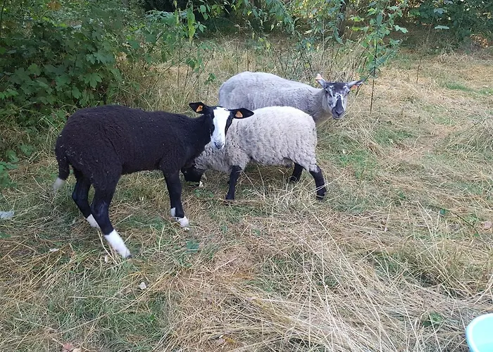 Château Lambert Hotel-resto-parking-shuttle, A 1 Ha Oasis At 8 Min From Crl Airport Without Any Noise Charleroi