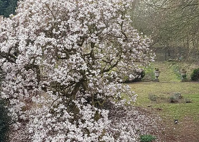 Château Lambert Hotel-resto-parking-shuttle, A 1 Ha Oasis At 8 Min From Crl Airport Without Any Noise *